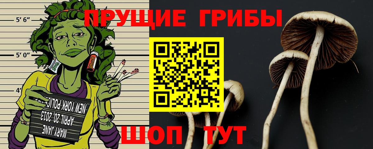 Кимры  Псилоцибиновые грибы MAGIC MUSHROOMS  наркошоп  Вход с VPN  Галлюциногенные грибы ЛСД 